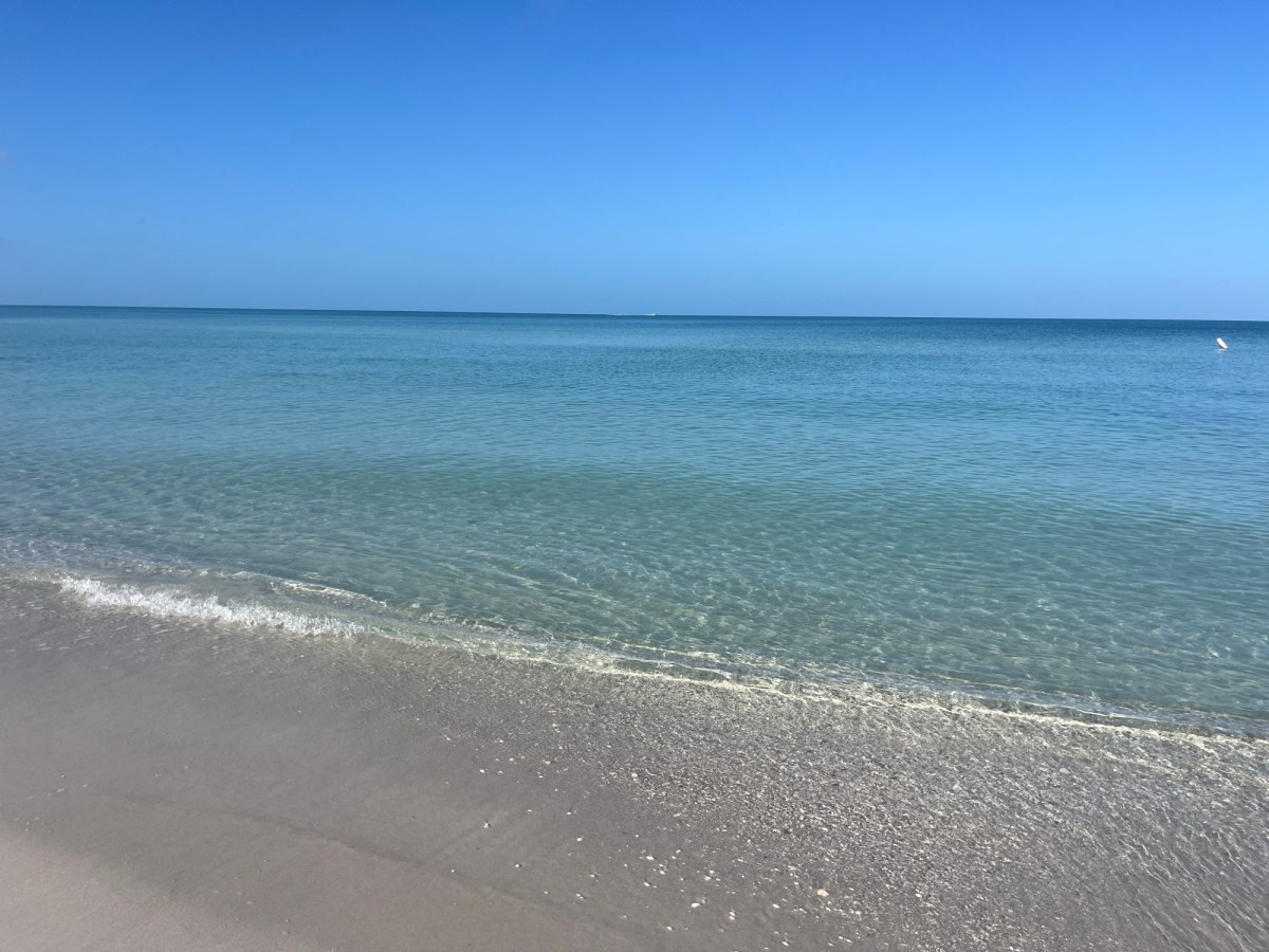 The Absolute Horror of Coparenting with a&nbsp;Narcissist